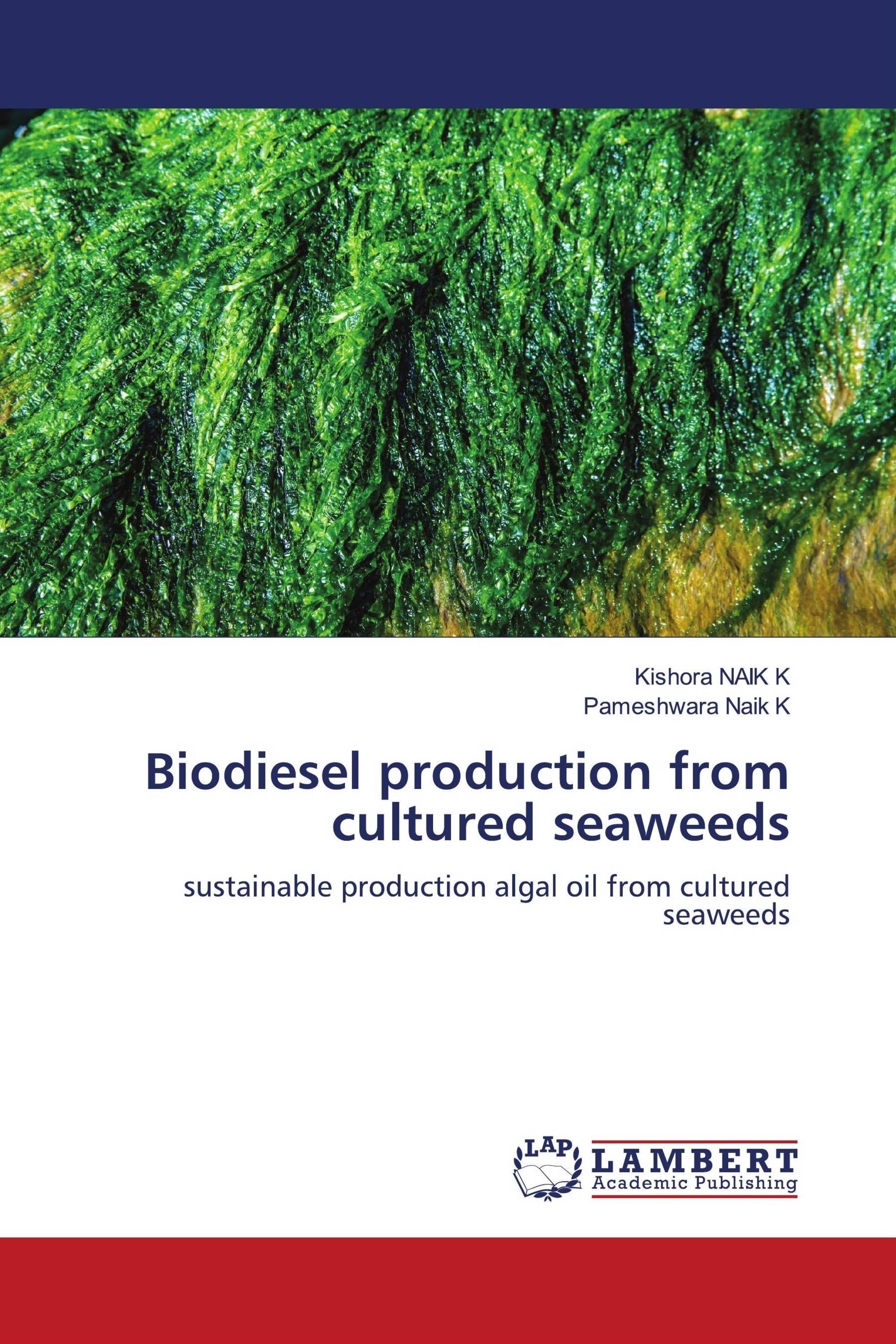 Biodiesel production from cultured seaweeds