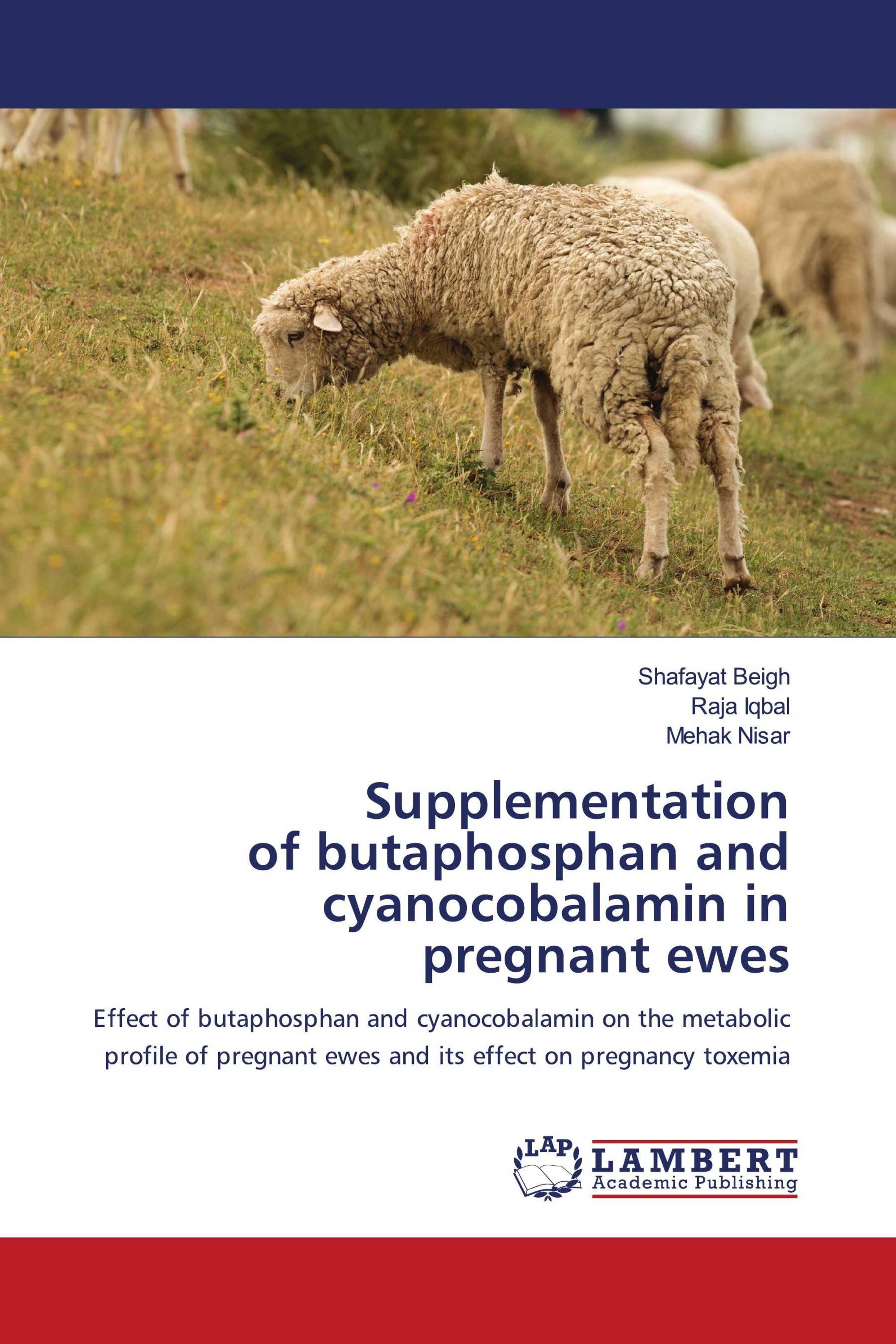 Supplementation of butaphosphan and cyanocobalamin in pregnant ewes