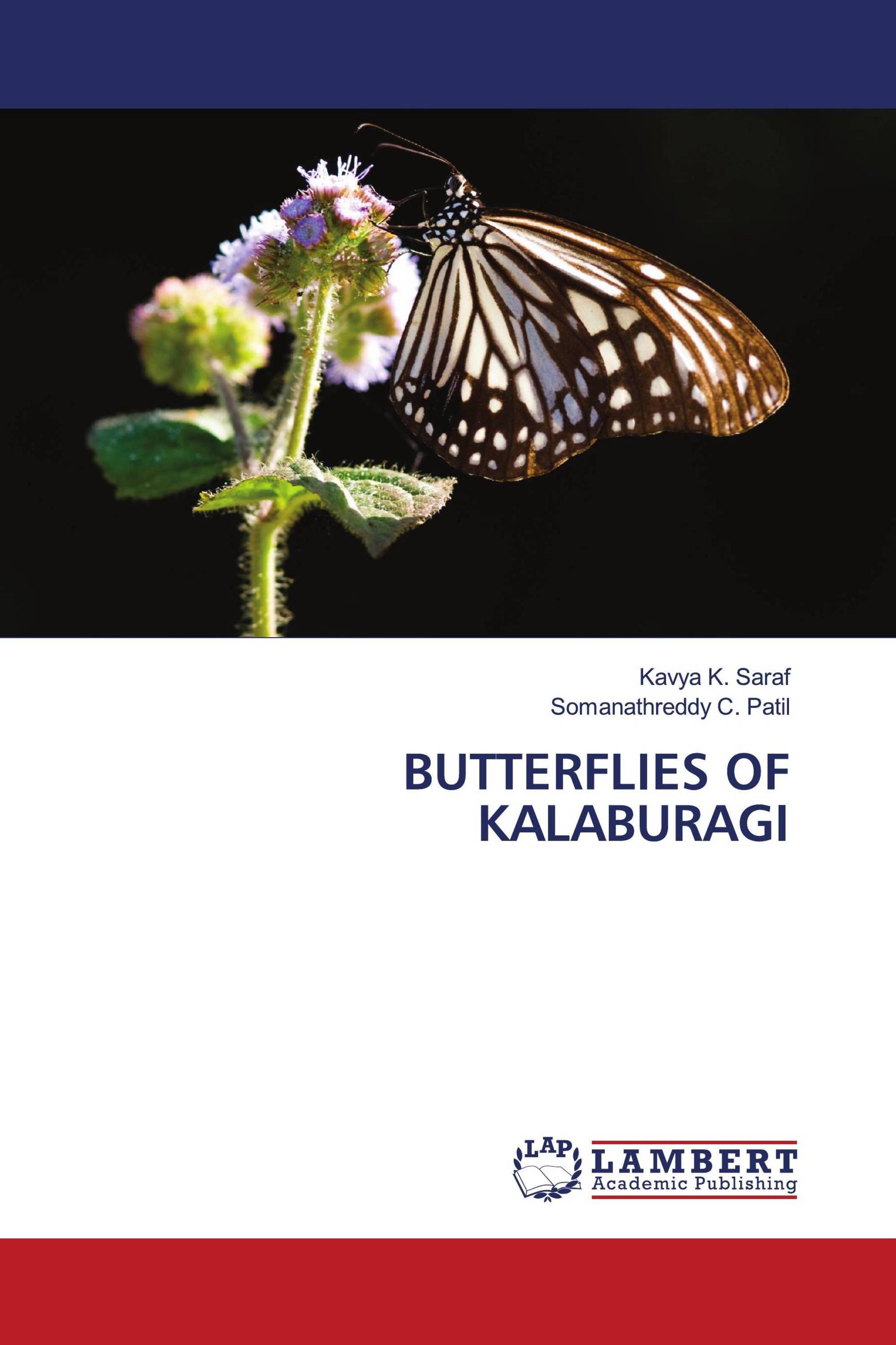 BUTTERFLIES OF KALABURAGI