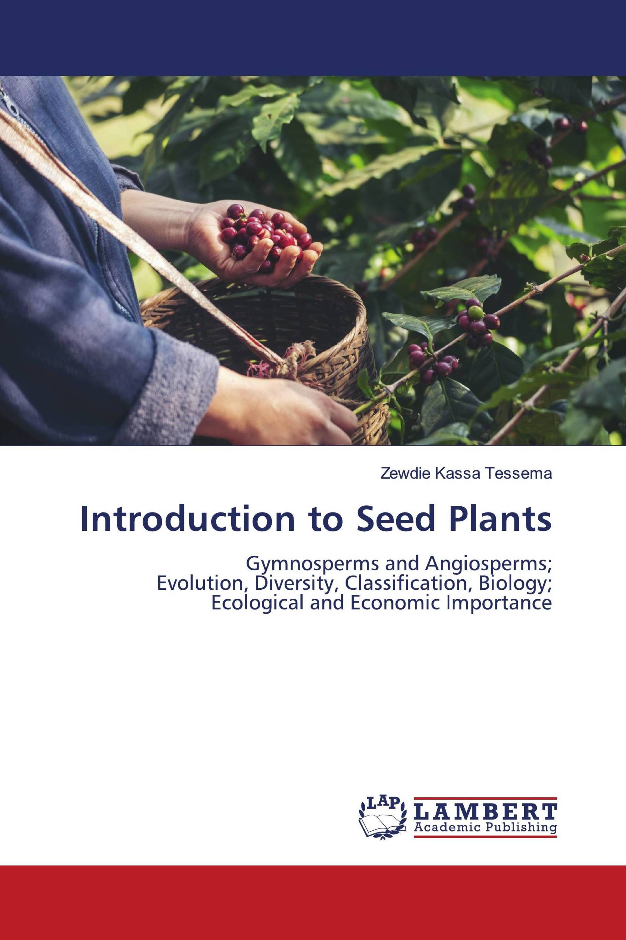 Introduction to Seed Plants