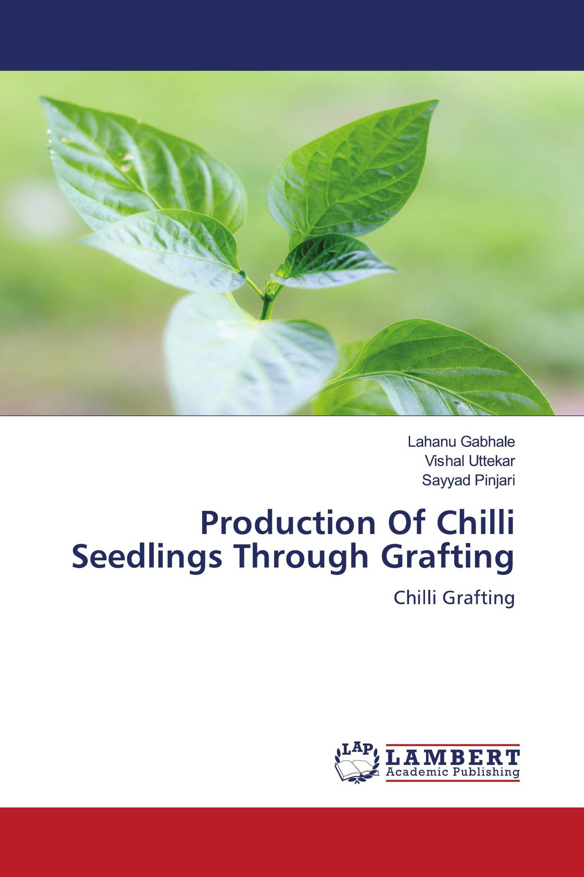 Production Of Chilli Seedlings Through Grafting