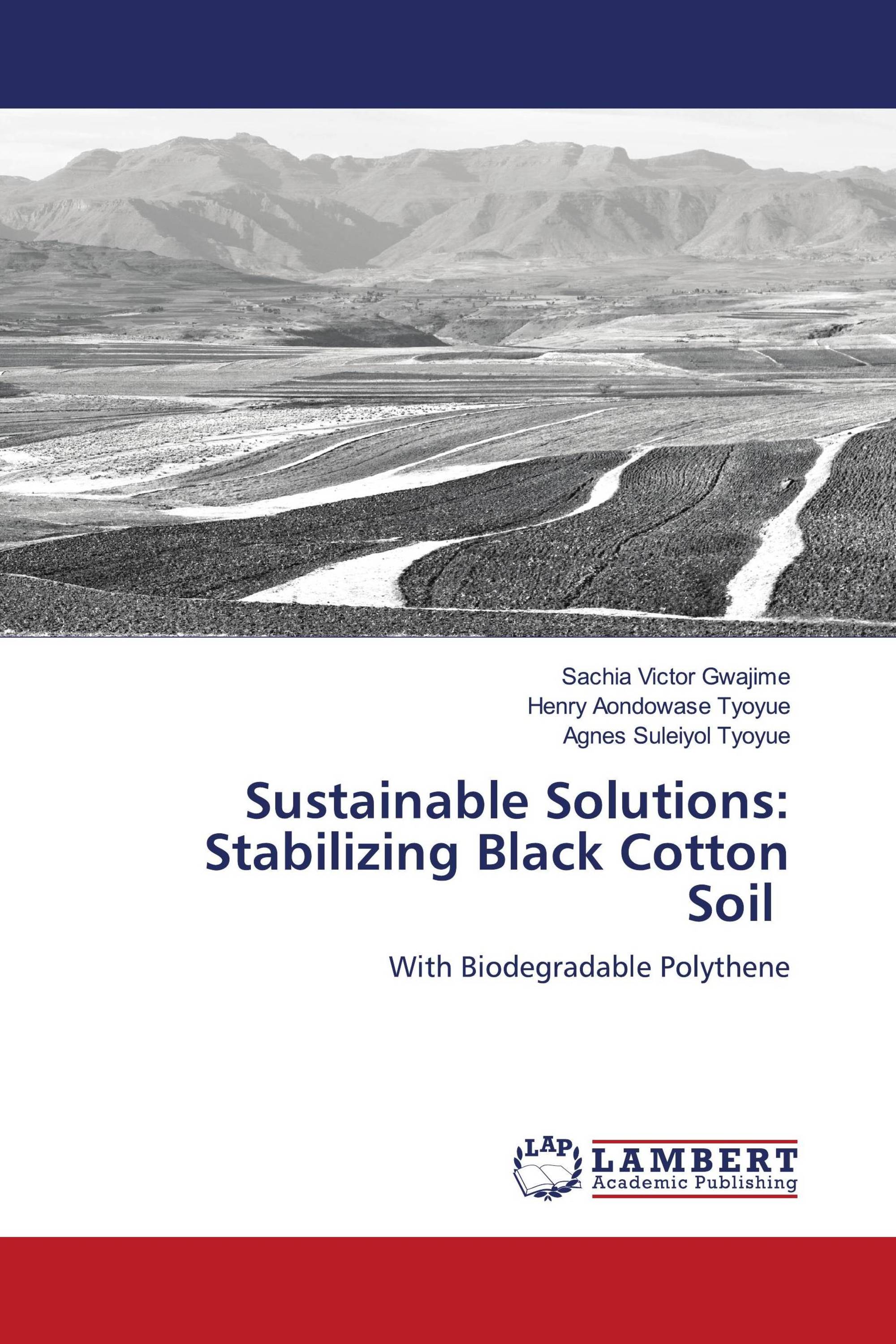 Sustainable Solutions: Stabilizing Black Cotton Soil