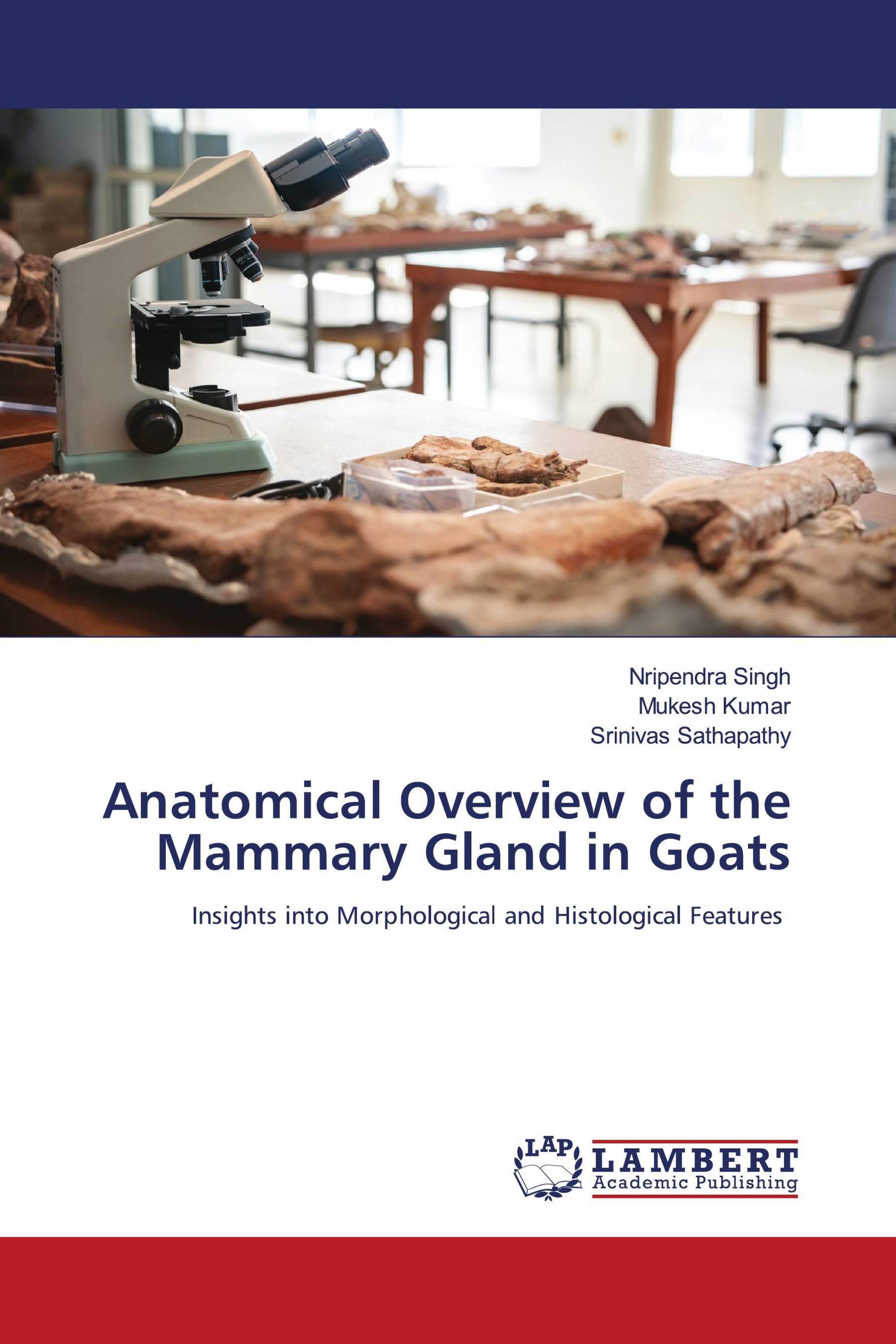 Anatomical Overview of the Mammary Gland in Goats