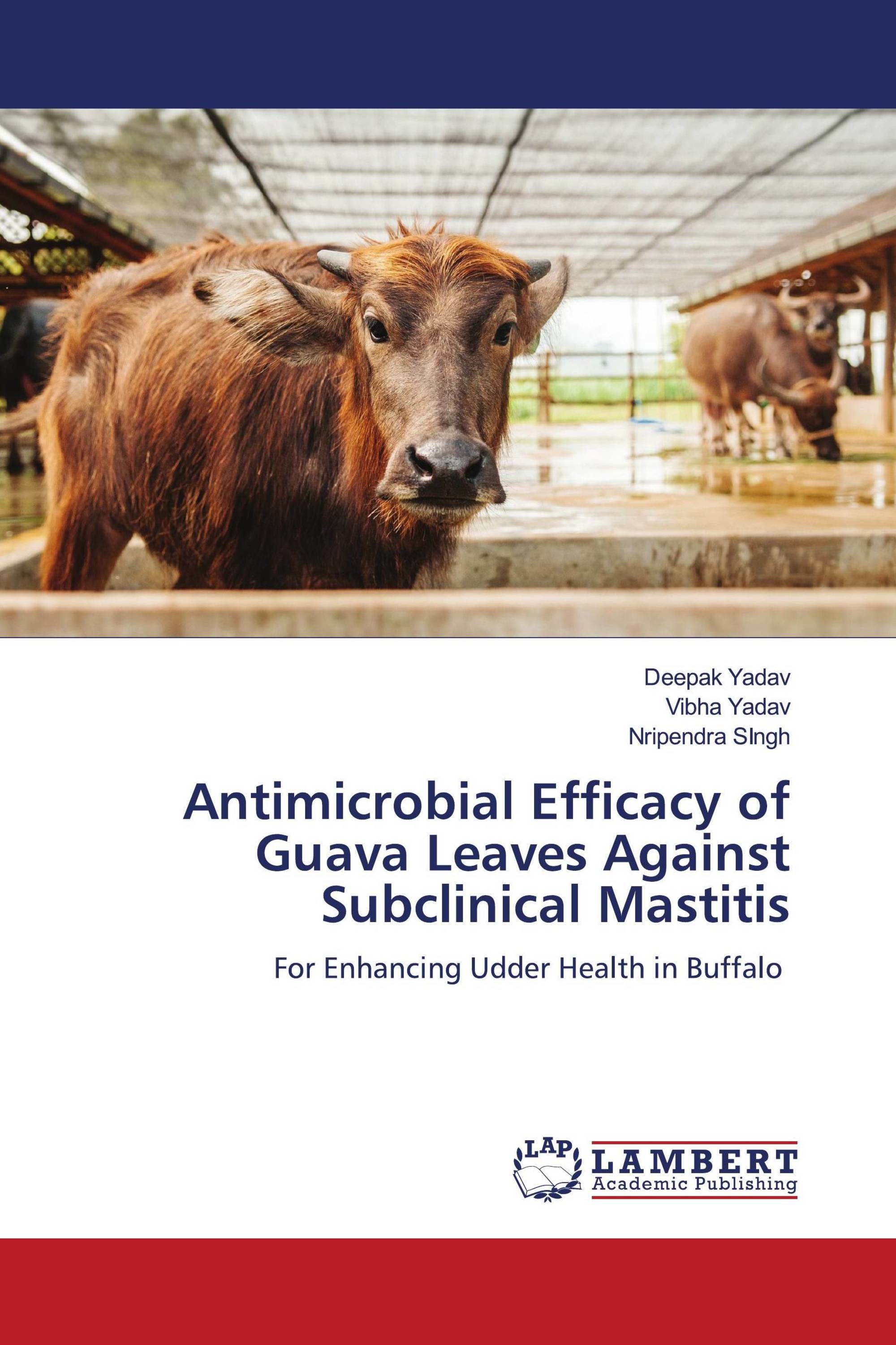 Antimicrobial Efficacy of Guava Leaves Against Subclinical Mastitis