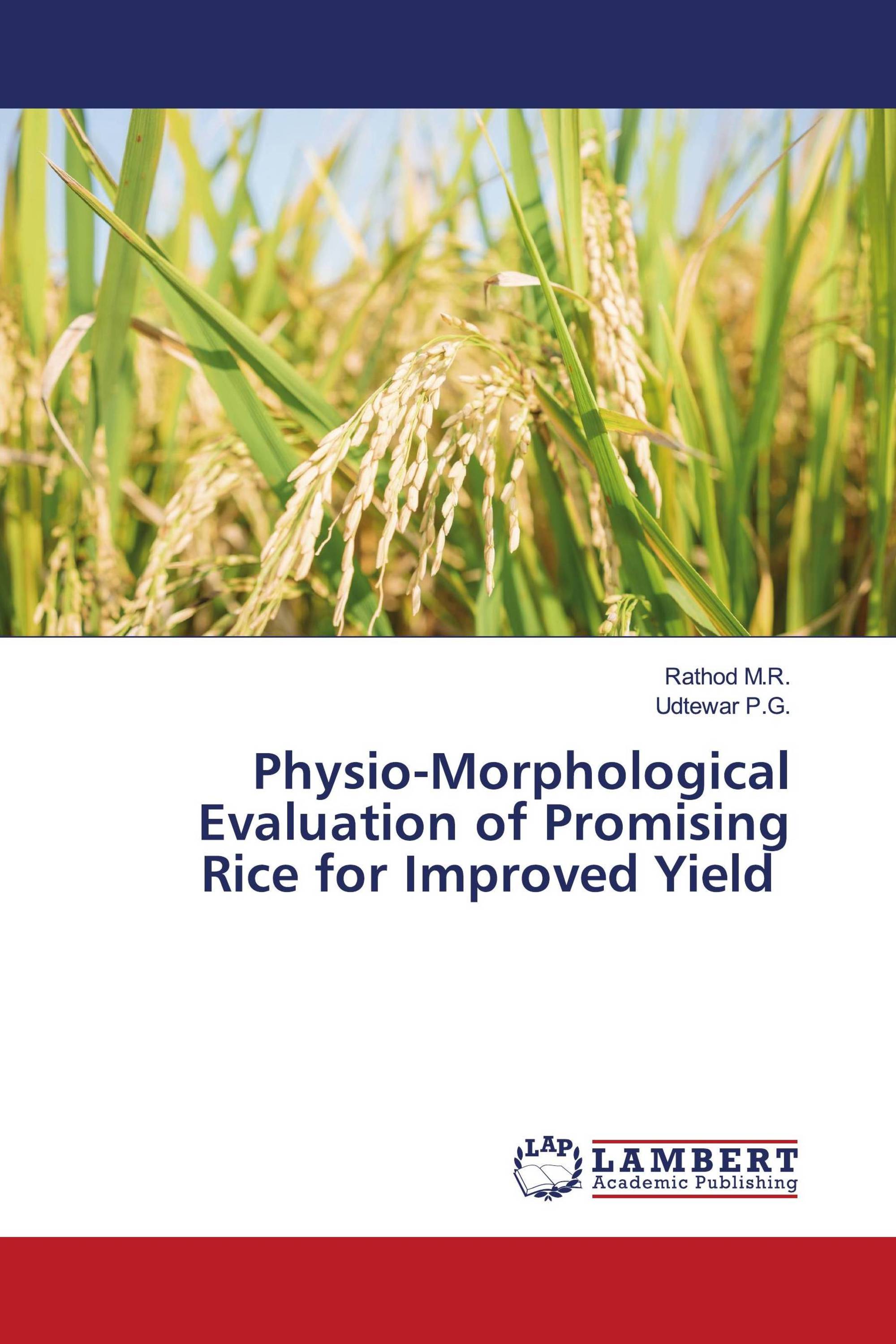 Physio-Morphological Evaluation of Promising Rice for Improved Yield