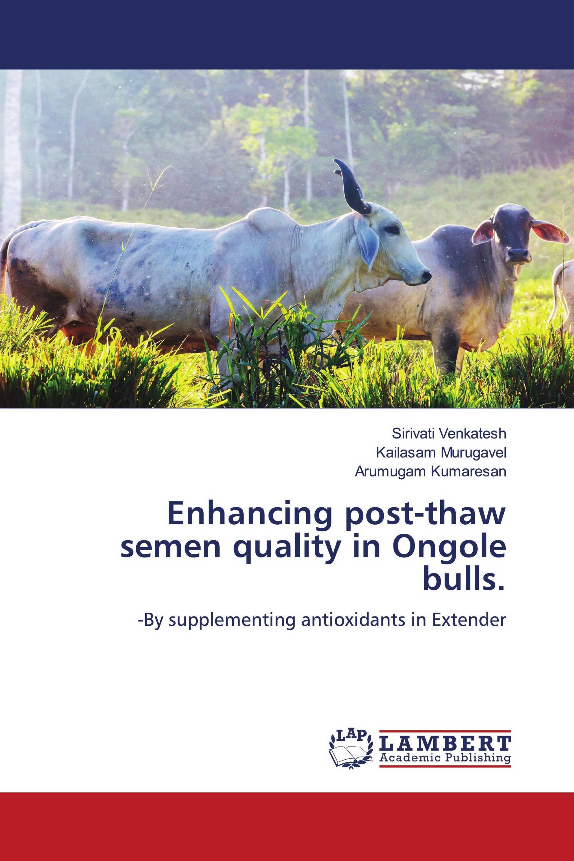 Enhancing post-thaw semen quality in Ongole bulls.