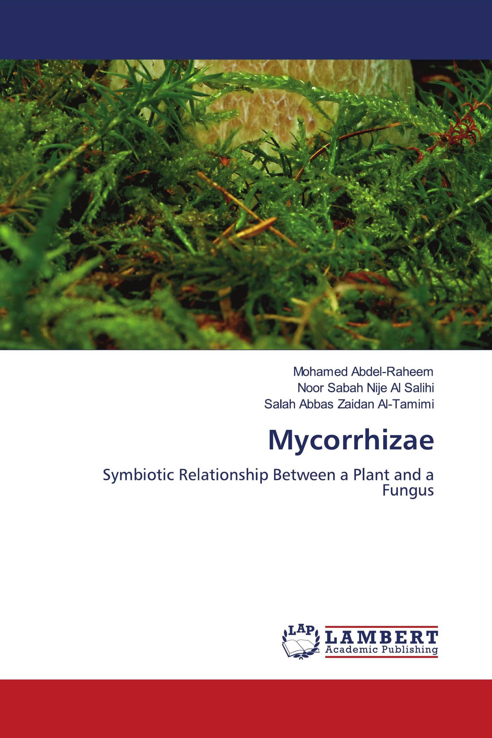 Mycorrhizae