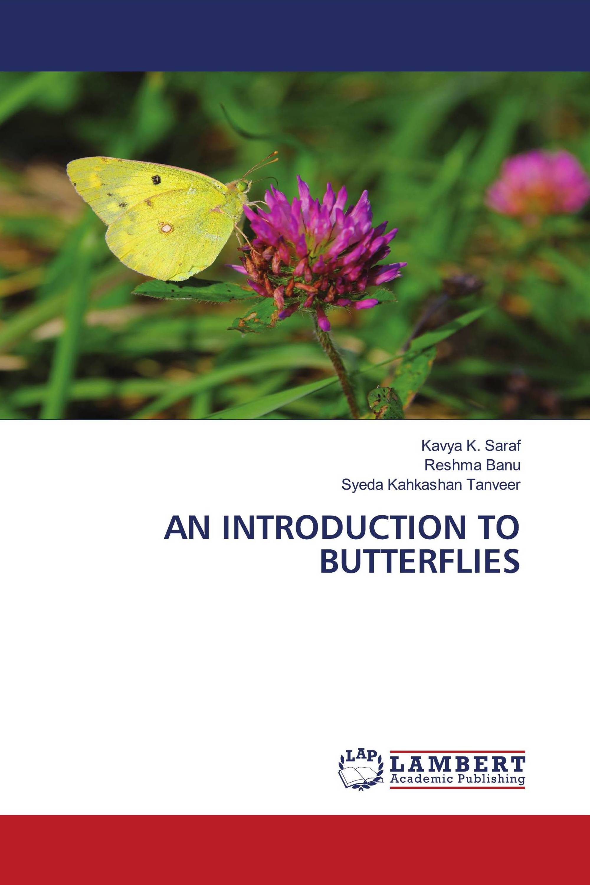 AN INTRODUCTION TO BUTTERFLIES