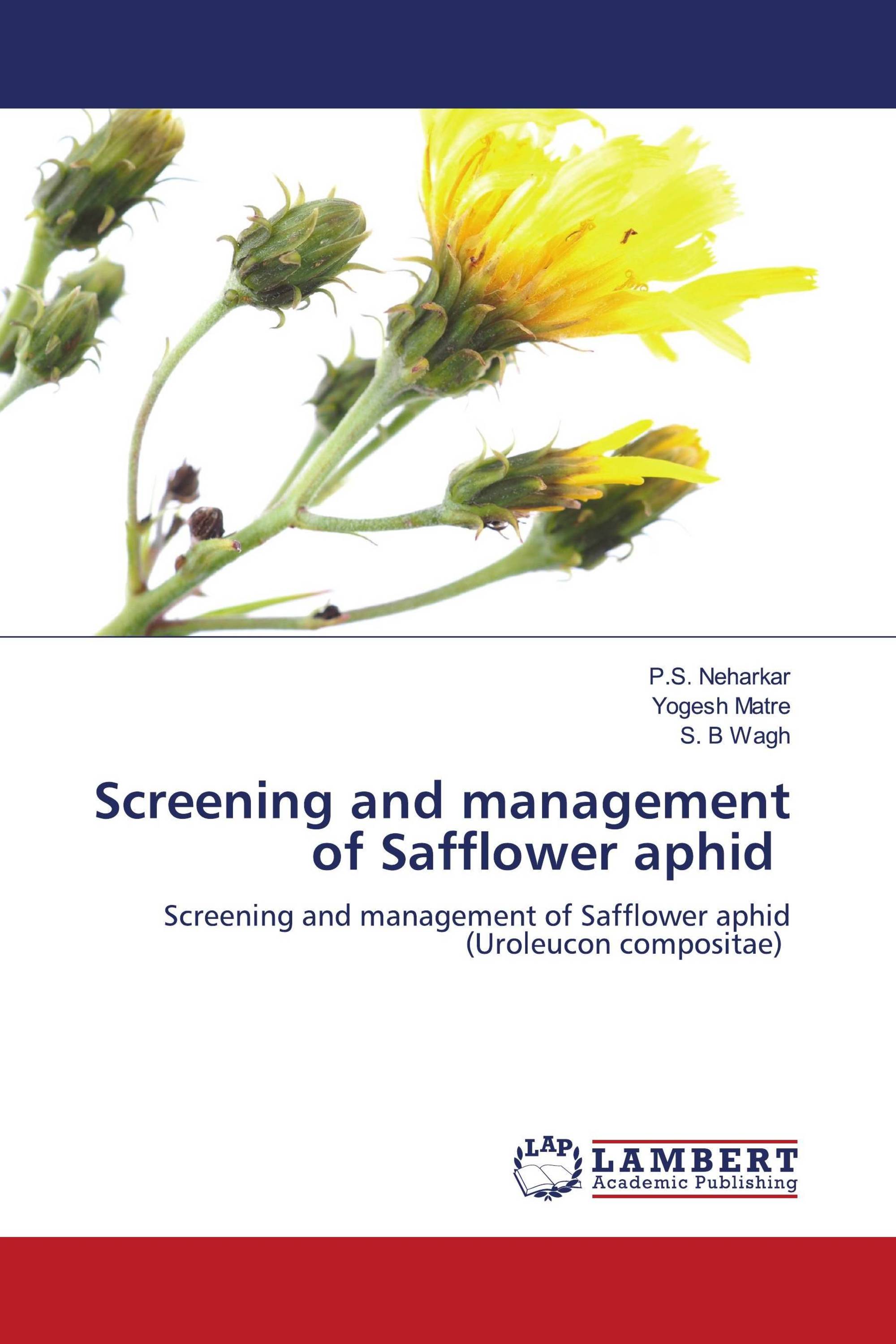 Screening and management of Safflower aphid