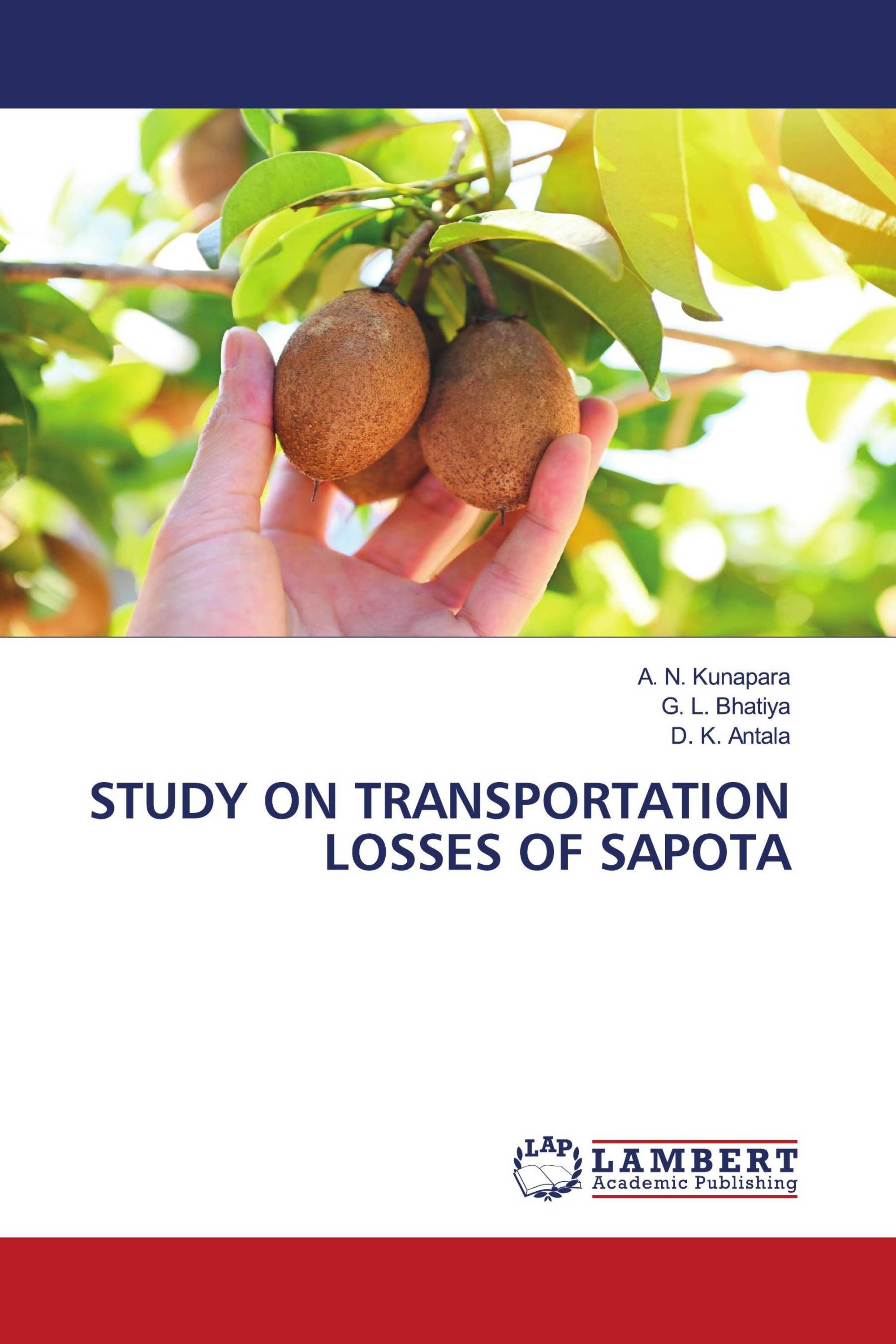 STUDY ON TRANSPORTATION LOSSES OF SAPOTA