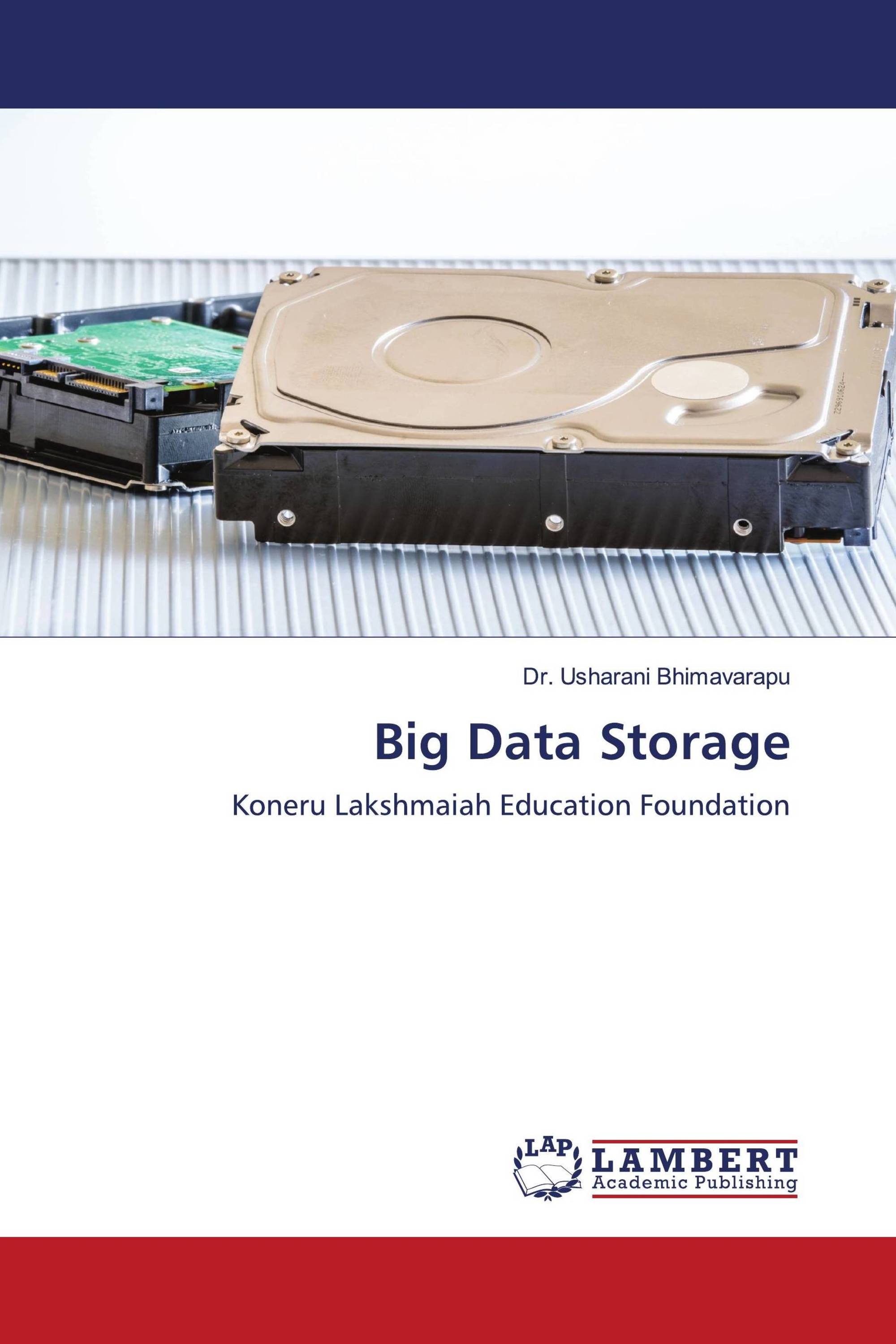 Big Data Storage