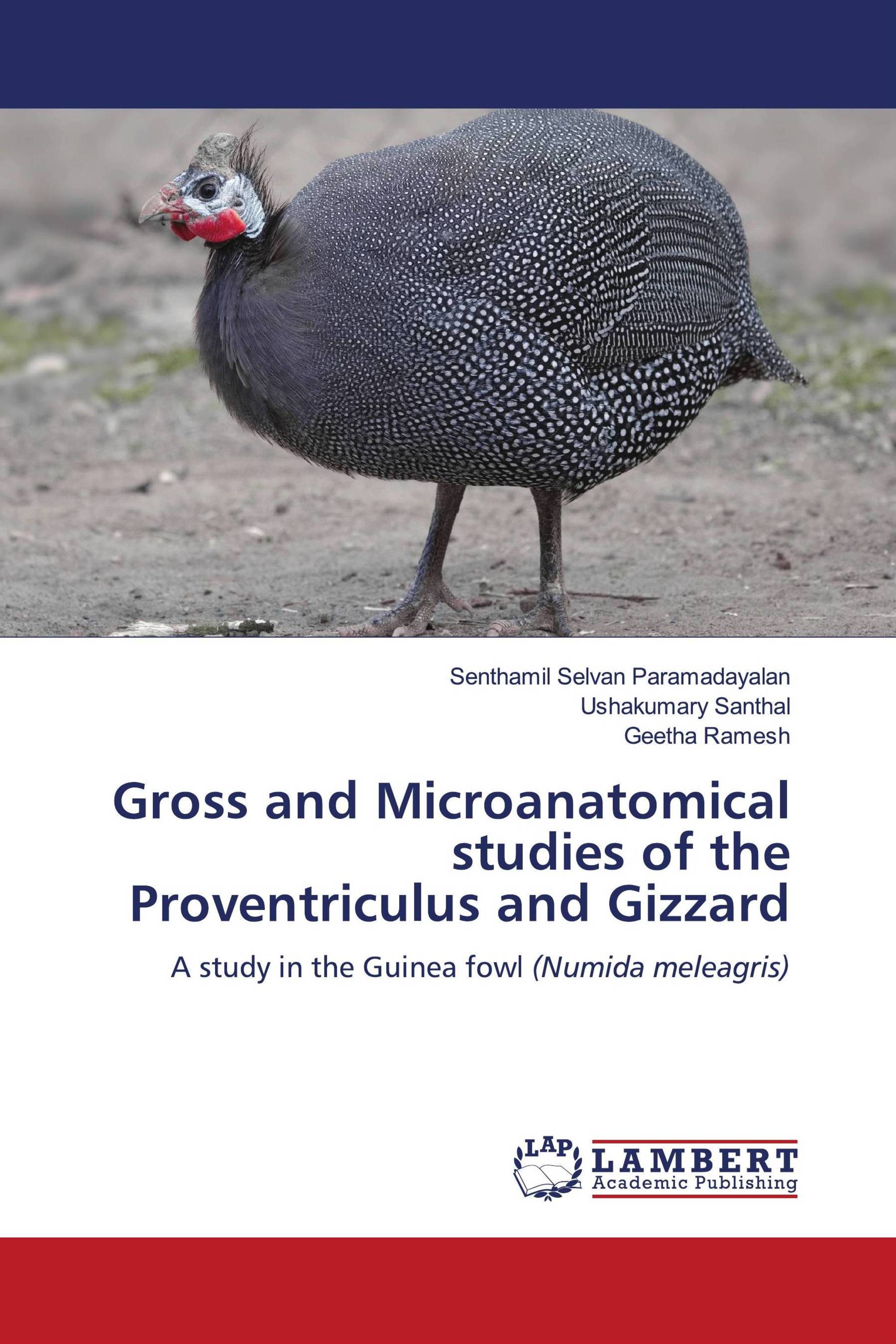 Gross and Microanatomical studies of the Proventriculus and Gizzard