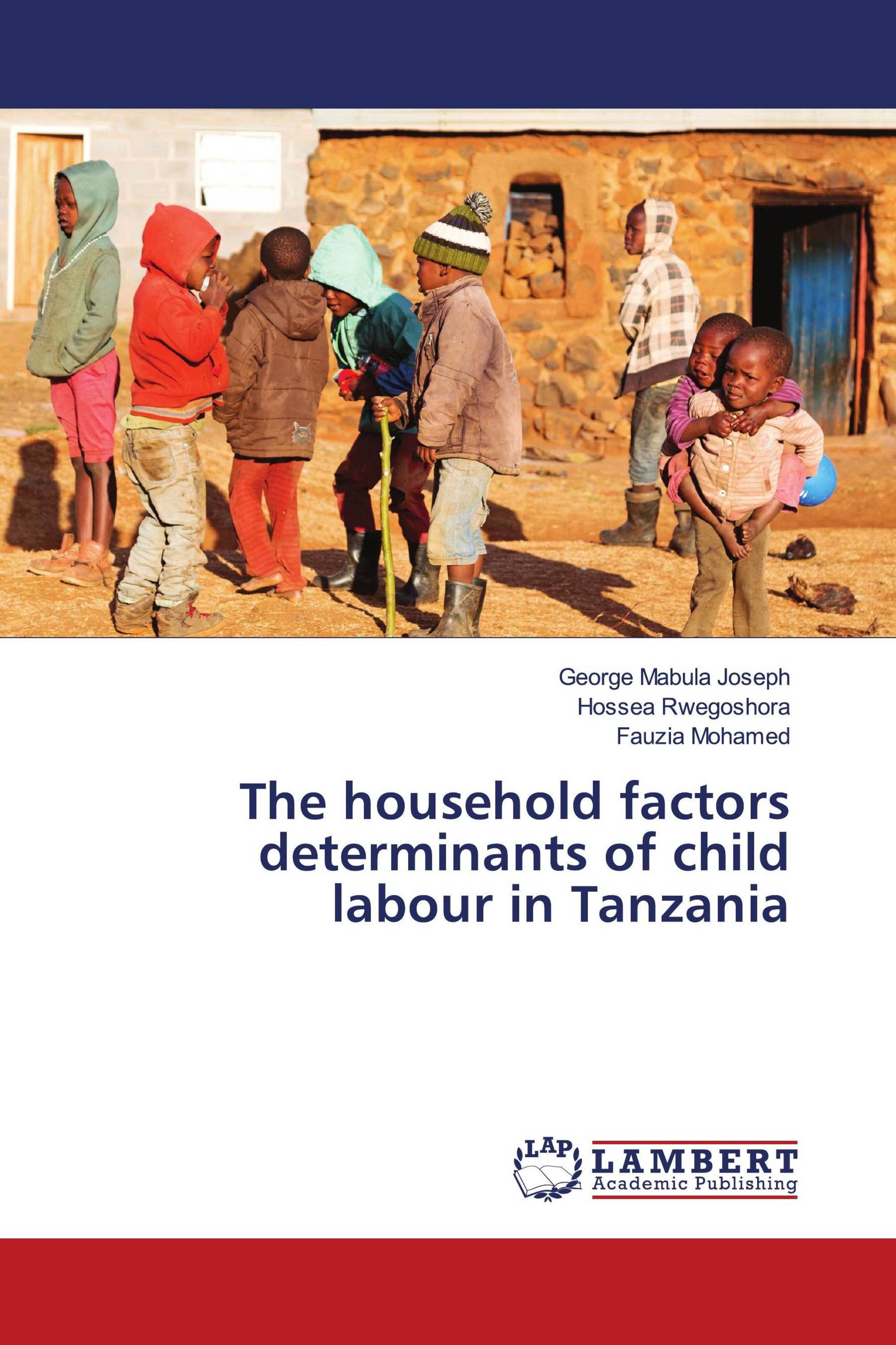 The household factors determinants of child labour in Tanzania