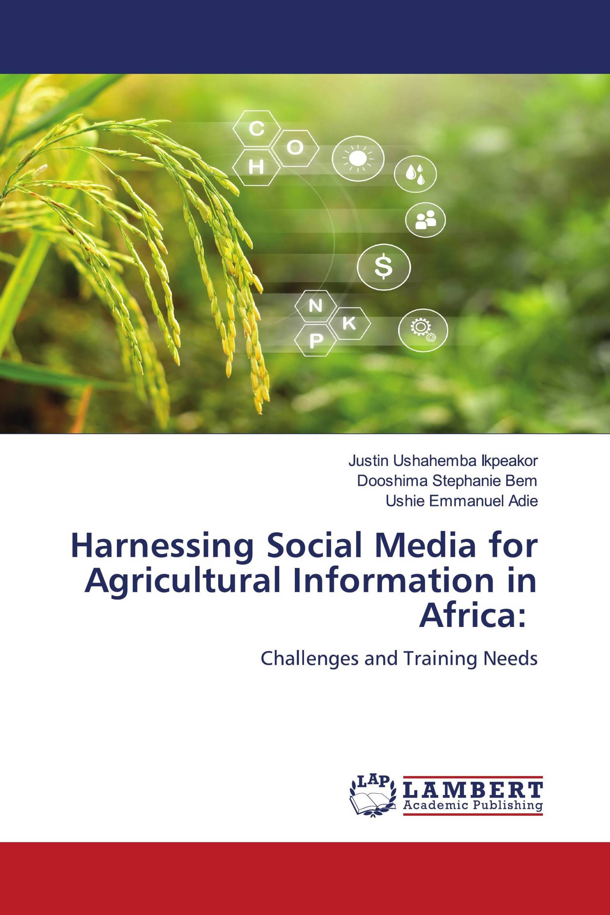 Harnessing Social Media for Agricultural Information in Africa: