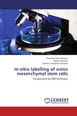 In-vitro labelling of ovine mesenchymal stem cells