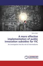 A more effective implementation of public innovation subsidies for YIC