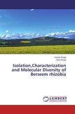 Isolation,Characterization and Molecular Diversity of Berseem rhizobia