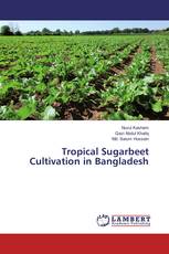 Tropical Sugarbeet Cultivation in Bangladesh