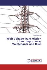 High Voltage Transmission Lines: Importance, Maintenance and Risks