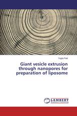 Giant vesicle extrusion through nanopores for preparation of liposome