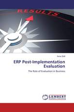 ERP Post-Implementation Evaluation
