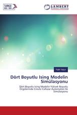 Dört Boyutlu Ising Modelin Simülasyonu