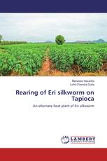 Rearing of Eri silkworm on Tapioca
