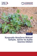 Karpuzda Anaçların Bitkisel Gelişim, Verim Ve Kalite Üzerine Etkileri