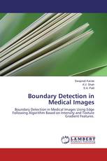 Boundary Detection in Medical Images