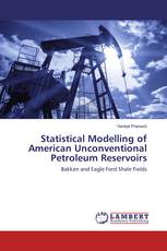 Statistical Modelling of American Unconventional Petroleum Reservoirs
