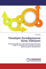Yönetişim Paradigmasına Süreç Yaklaşımı
