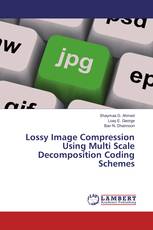 Lossy Image Compression Using Multi Scale Decomposition Coding Schemes
