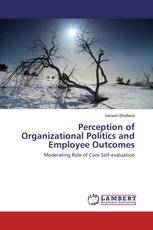 Perception of Organizational Politics and Employee Outcomes