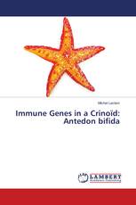 Immune Genes in a Crinoïd: Antedon bifida