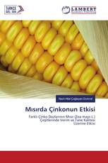 Mısırda Çinkonun Etkisi