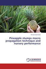 Pineapple stumps macro propagation technique and nursery performance