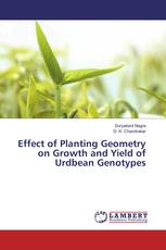 Effect of Planting Geometry on Growth and Yield of Urdbean Genotypes