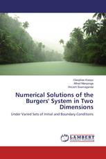 Numerical Solutions of the Burgers' System in Two Dimensions