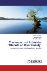 The Impacts of Industrial Effluents on River Quality: