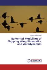 Numerical Modelling of Flapping Wing Kinematics and Aerodynamics