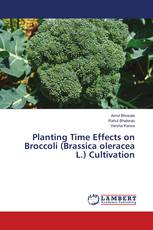 Planting Time Effects on Broccoli (Brassica oleracea L.) Cultivation