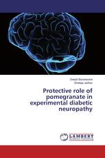 Protective role of pomegranate in experimental diabetic neuropathy