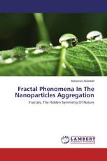 Fractal Phenomena In The Nanoparticles Aggregation