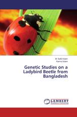 Genetic Studies on a Ladybird Beetle from Bangladesh
