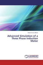 Advanced Simulation of a Three Phase Induction Motor