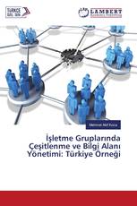 İşletme Gruplarında Çeşitlenme ve Bilgi Alanı Yönetimi: Türkiye Örneği