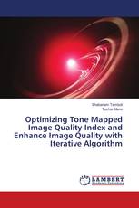 Optimizing Tone Mapped Image Quality Index and Enhance Image Quality with Iterative Algorithm