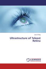 Ultrastructure of Teleost Retina