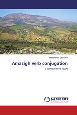 Amazigh verb conjugation