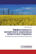 Эффективность матричного комплекса энергетики Украины